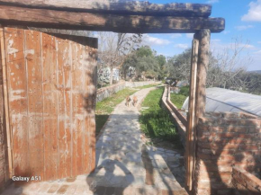 Ali dede kamp karavan bungalow